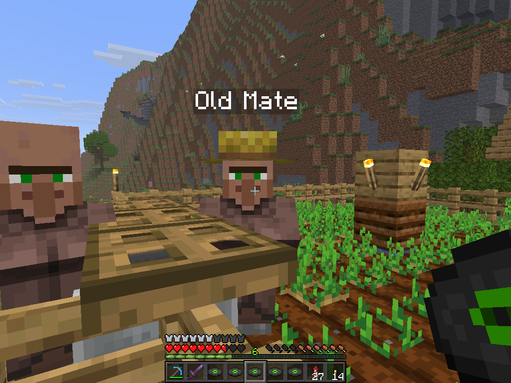picture of old mate the potato farmer in minecraft